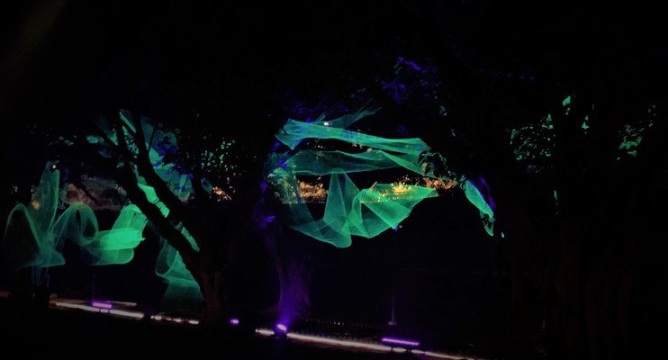 ‘WYSIATI’ Art Installation, India